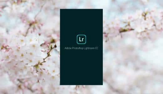 スマホで撮影した桜の写真を「Lightroom CC」で華やかに加工しよう！